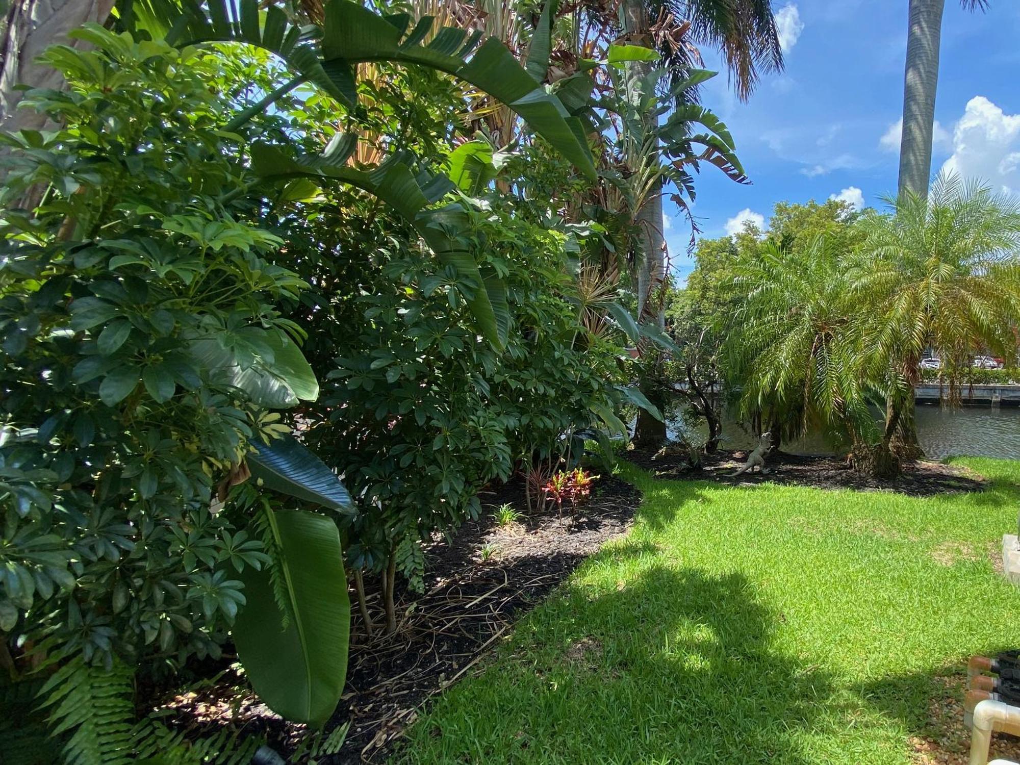 Riverbank Guesthouse Wilton Manors Exterior foto